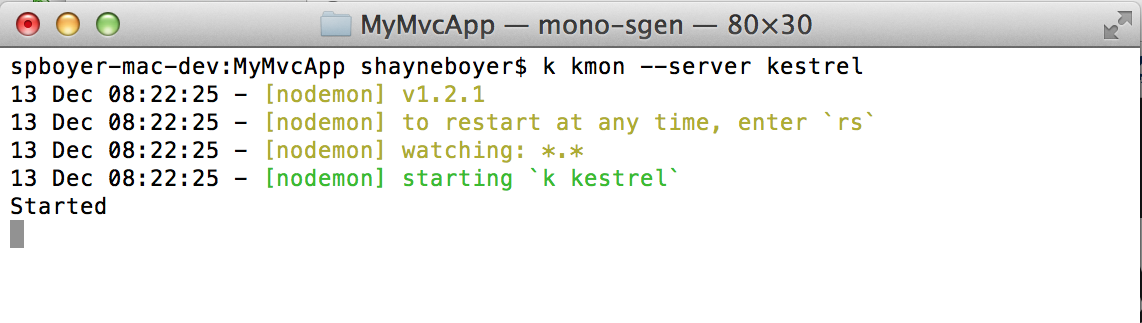 terminal screen shot - started