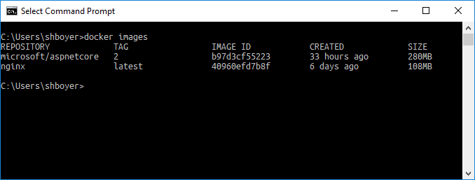 windows-docker