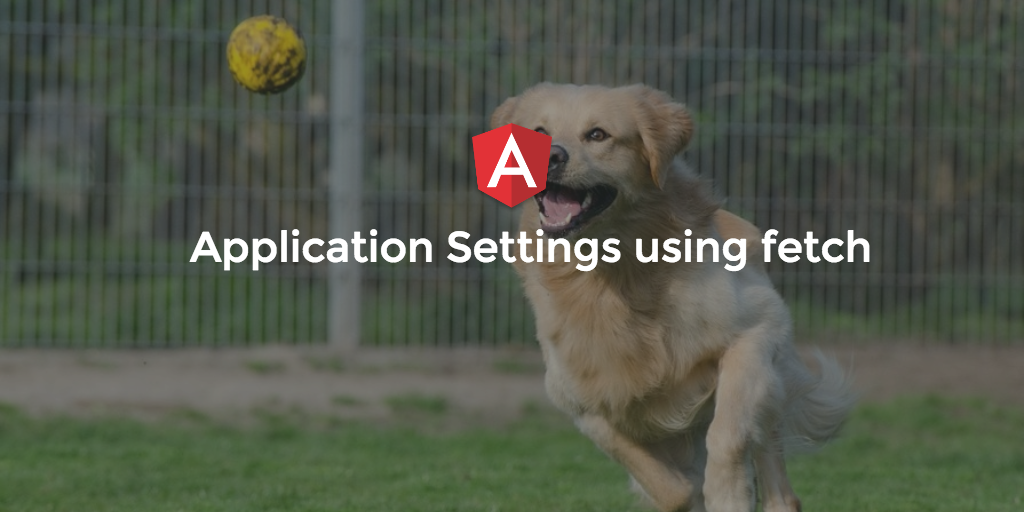 Angular 2 :  Application Settings using fetch